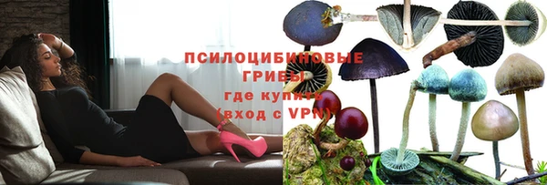 ГАЛЛЮЦИНОГЕННЫЕ ГРИБЫ Баксан
