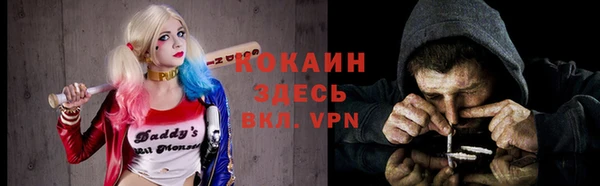 ГАЛЛЮЦИНОГЕННЫЕ ГРИБЫ Баксан