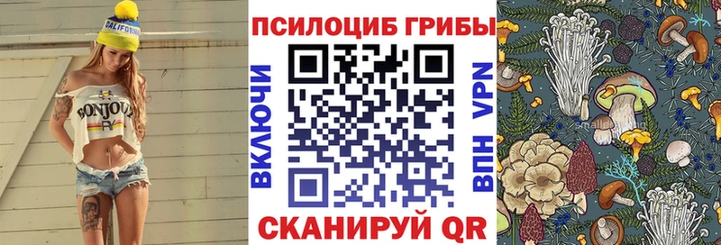 магазин продажи наркотиков  Пролетарск  Псилоцибиновые грибы мухоморы 